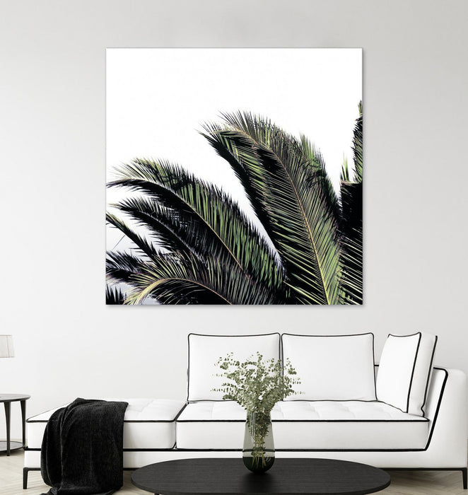 \"Cape Storm\" Giant Art 72x72 Wall Art