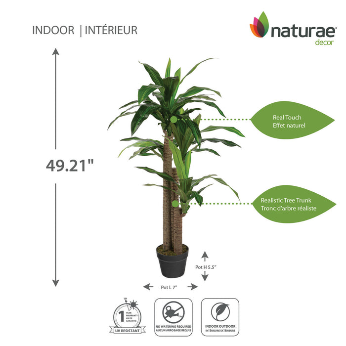 Artificial 49\" Dracaena In Black Pot