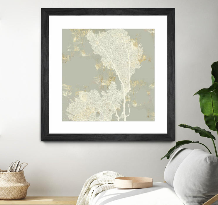 \"Sea Coral Ii\" Matted and Framed Black 36x36 Wall Art