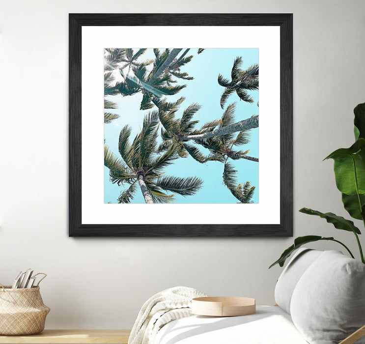 \"Palm 03\" Matted and Framed Black 36x36 Wall Art