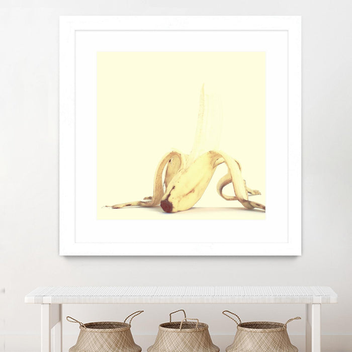 \"Banada Honey Puff\" Matted and Framed White 36x36 Wall Art