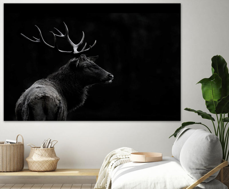\"The Deer Soul\" Giant Art 84x54 Wall Art