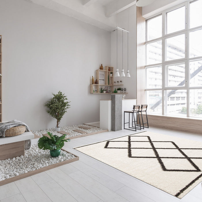Sophia Ivory Shag 3'11\" x 6'0\" Area Rug