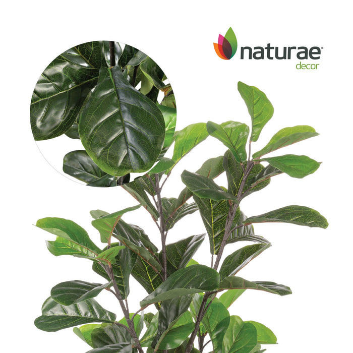 Artificial 47\" Fiddle Leaf Indoor & Outdoor In Black Pot