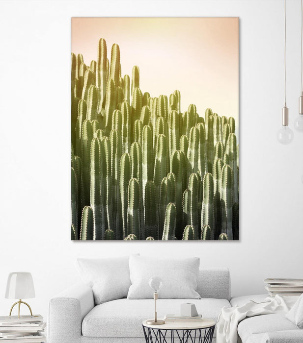 \"Pink Sky Cactus\" Giant Art 72x54 Wall Art
