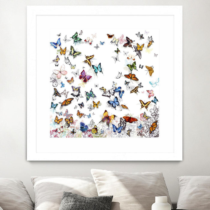 \"Papillon\" Matted and Framed White 36x36 Wall Art