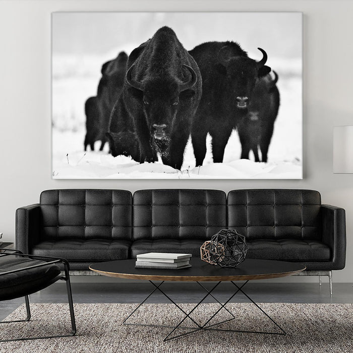 \"Europeans Bizons\" Giant Art 72x48 Wall Art