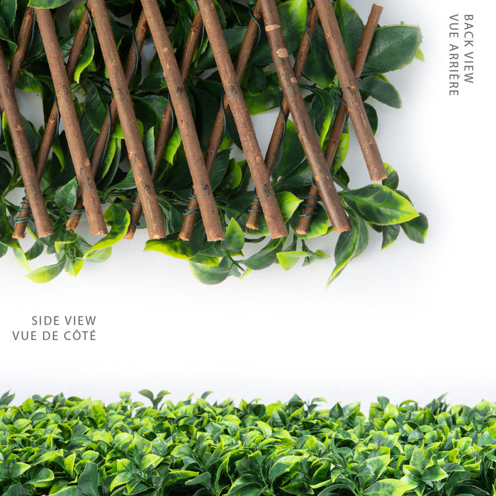 Artificial Willow Expandable Trellis 36\"x 72\" Gardenia Leaves