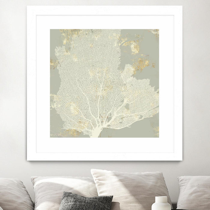 \"Sea Coral I\" Matted and Framed White 30x30 Wall Art
