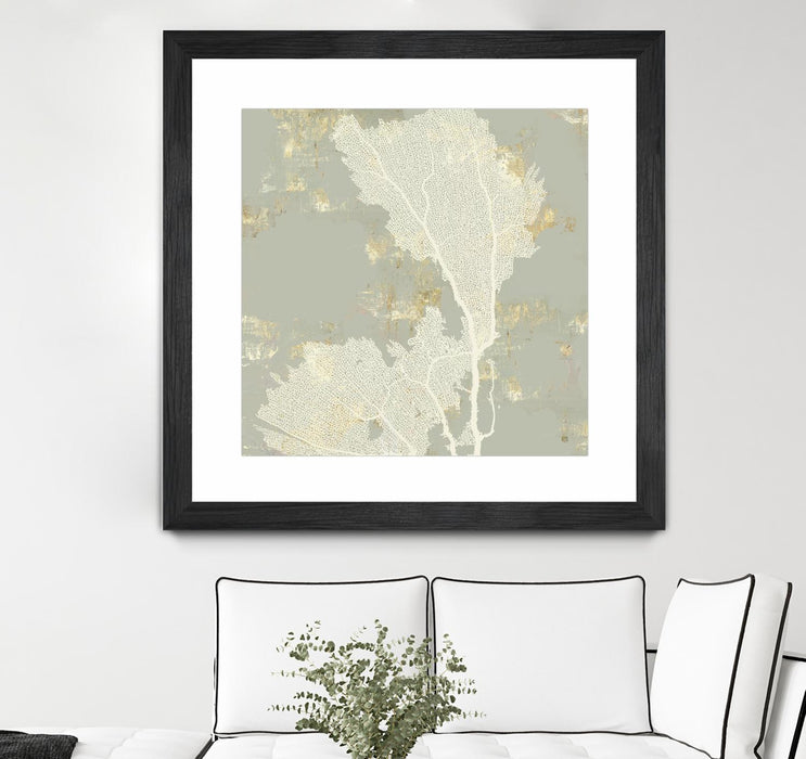 \"Sea Coral Ii\" Matted and Framed Black 36x36 Wall Art