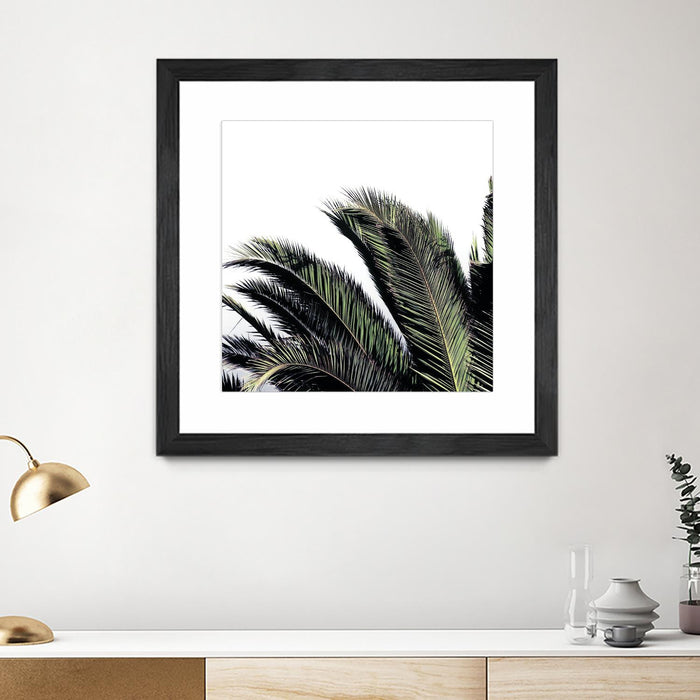 \"Cape Storm\" Matted and Framed Black 36x36 Wall Art