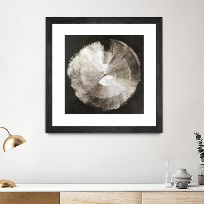 \"Touch Of Silver\" Matted and Framed Black 36x36 Wall Art