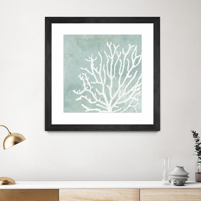 \"Sea Crown Ii\" Matted and Framed Black 36x36 Wall Art