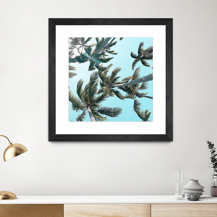 \"Palm 03\" Matted and Framed Black 30x30 Wall Art