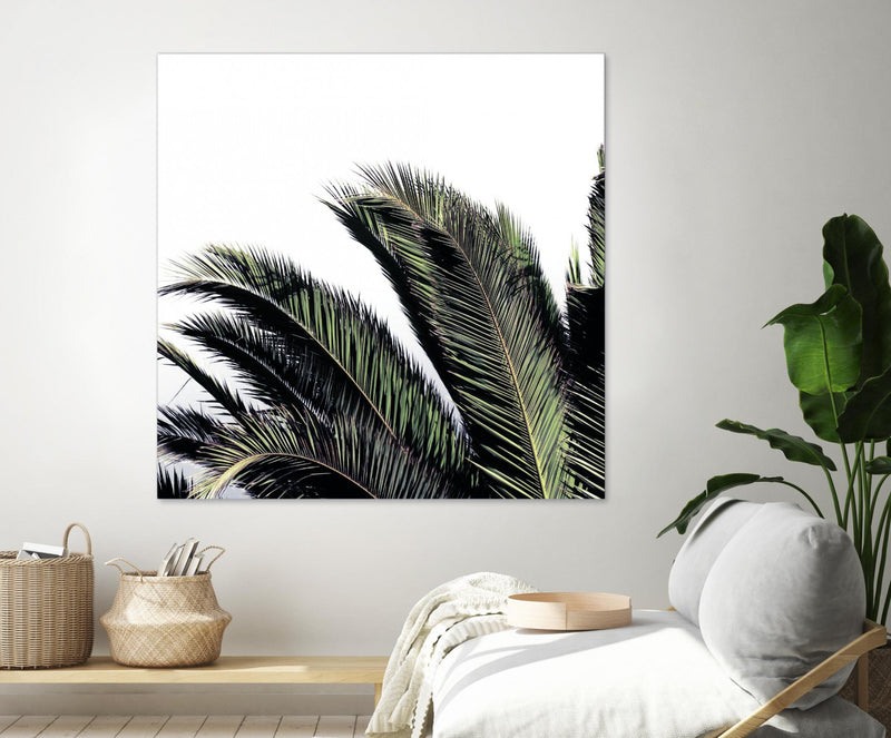 \"Cape Storm\" Giant Art 72x72 Wall Art