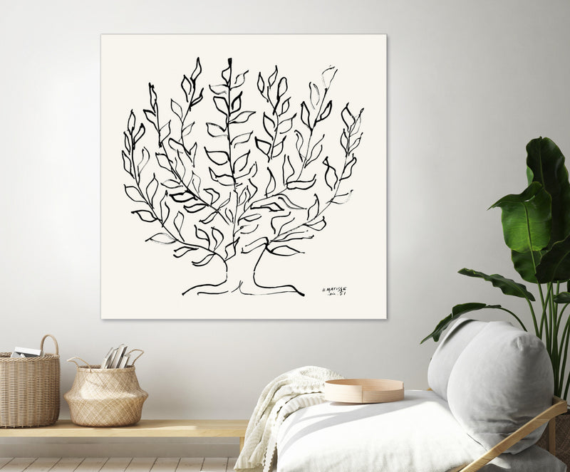 \"L'arbre Platane\" Giant Art 72x72 Wall Art