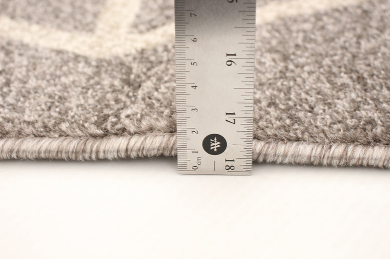 Anandi Grey-Ivory Area Rug - 3'11\" x 5'7\"