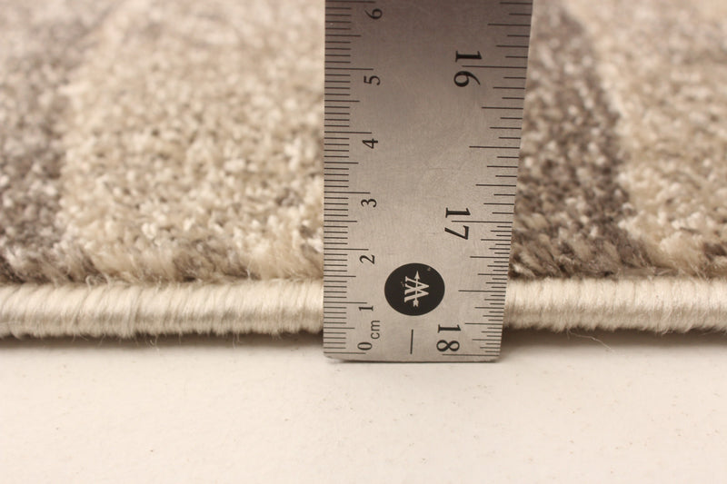 Arusha Ivory / Grey 6'7\" x 9'6\" Area Rug