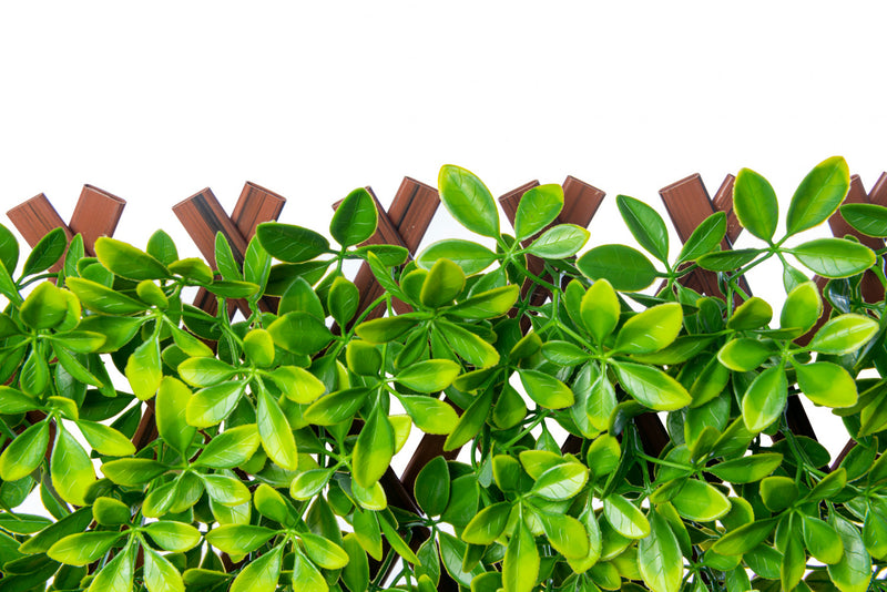 PVC Expandable Trellis 36\"x 72\" Schefflera Leaves