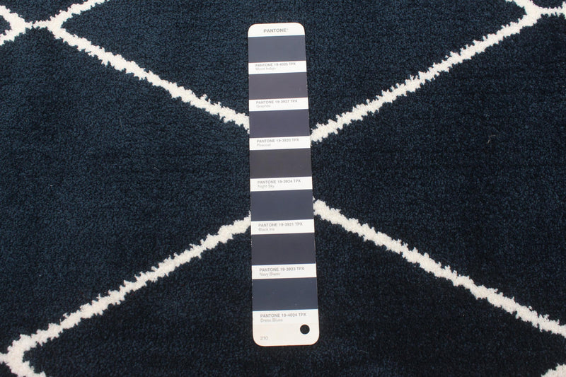 August Navy-White Area Rug - 5'3\" x 7'3\"