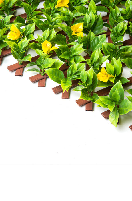 PVC  Expandable Trellis 36\"x 72\" Yellow Clematis Leaves