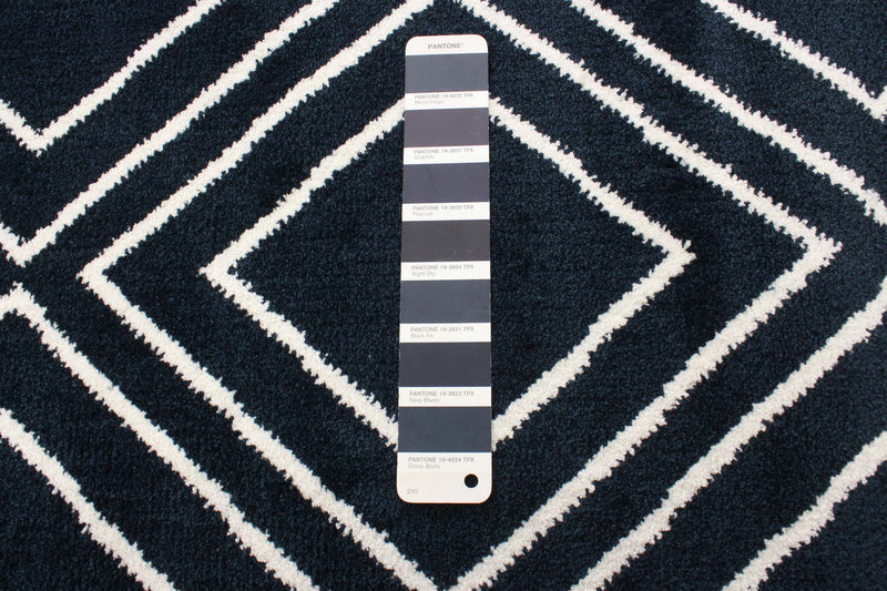 August Geod Navy-White 5'3\" x 7'3\" Area Rug