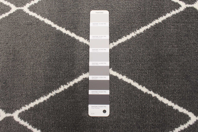 August Dark Grey-White 5'3\" x 7'3\" Area Rug