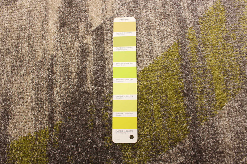 Korra Ivory / Green 3'11\" x 5'7\" Area Rug