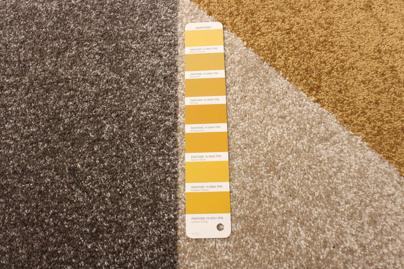Hadley Grey / Gold 5'3\" x 7'3\" Area Rug