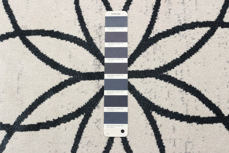 Terali Ivory Machine Washable Area Rug - 6'0\" x 9'0\"