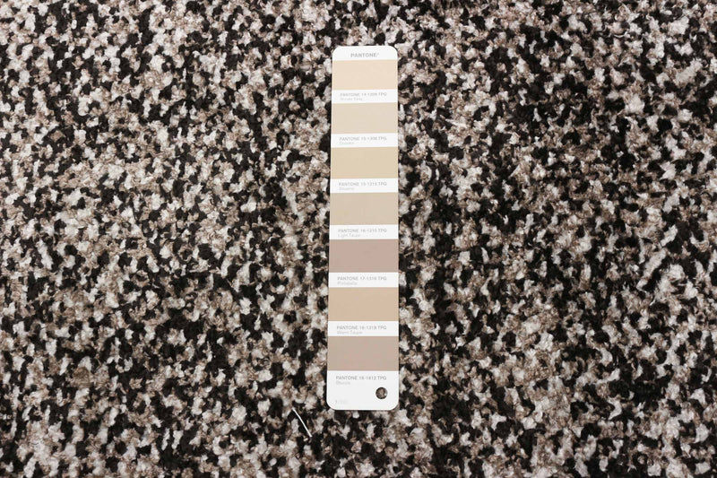 Vera Earth Taupe/Black Area Rug - 5'2\" x 7'5\"