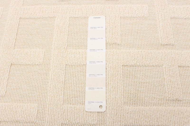 Brangane Ivory 3'11\" x 5'7\" Area Rug