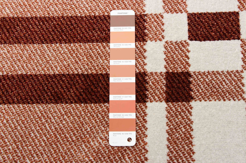 Roma Copper Machine Washable Area Rug - 8'0\" x 10'0\"