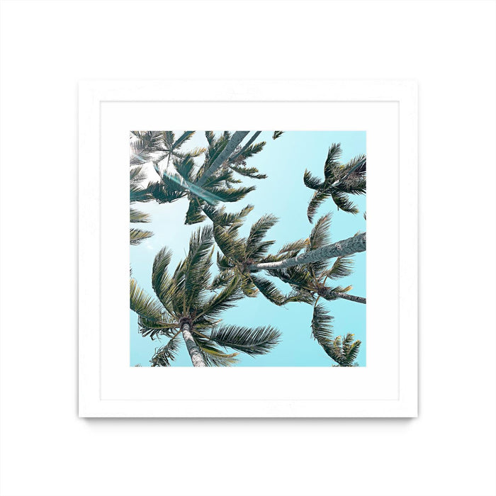 \"Palm 03\" Matted and Framed White 36x36 Wall Art