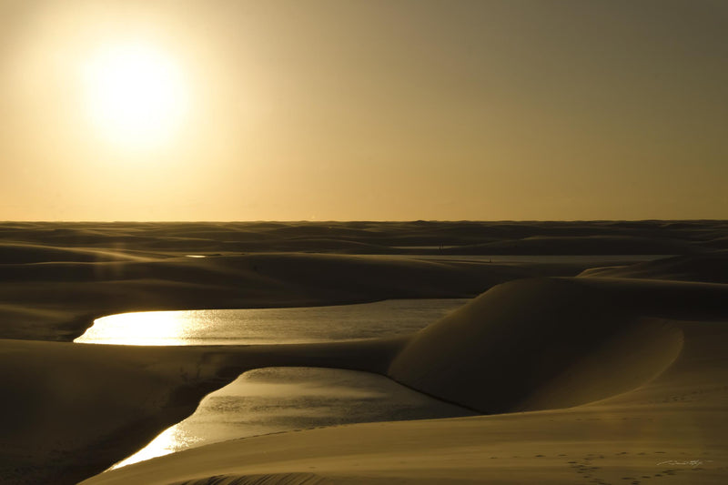 \"Golden Sunset\" Giant Art 72x48 Wall Art