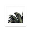 \"Cape Storm\" Matted and Framed White 36x36 Wall Art
