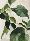\"Tropical Study Ii\" Giant Art 72x54 Wall Art