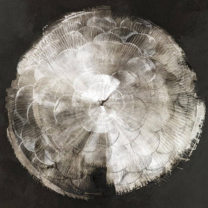 \"Touch Of Darkened Silver\" Giant Art 72x72 Wall Art