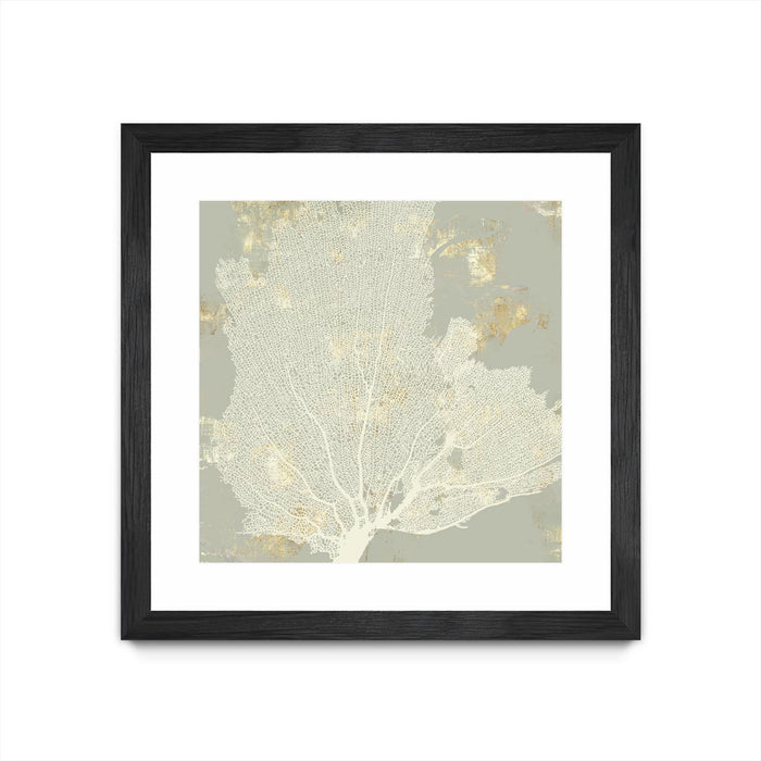 \"Sea Coral I\" Matted and Framed Black 36x36 Wall Art