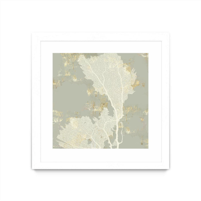 \"Sea Coral Ii\" Matted and Framed White 36x36 Wall Art