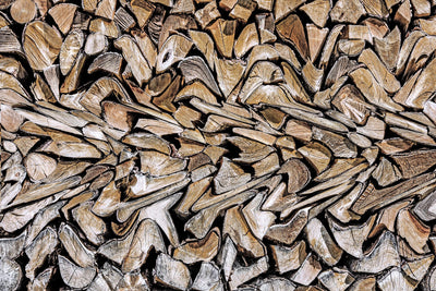 "Pearson - Against The Grain" Giant Art 84x54 Wall Art