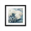 \"White Roses I\" Matted and Framed Black 36x36 Wall Art