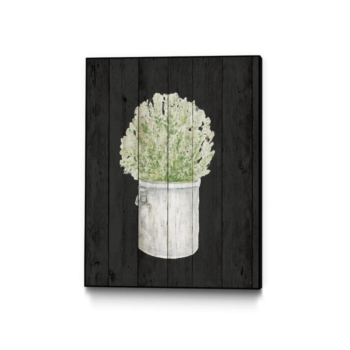 \"Herbs On Black Wood Ii\" Canvas Framed Black 24x32 Wall Art