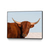 \"Steer\" Canvas Framed Black 24x18 Wall Art