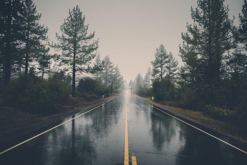 \"Rainy Day\" Giant Art 84x54 Wall Art