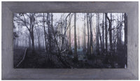 Colourful Forest – 44.25
