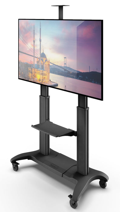Kanto Living Mobile TV Mount - MTMA100PL
