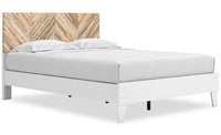 Wolf Panel Bed with Headboard & Frame, Two-tone White & Natural - Queen Size 