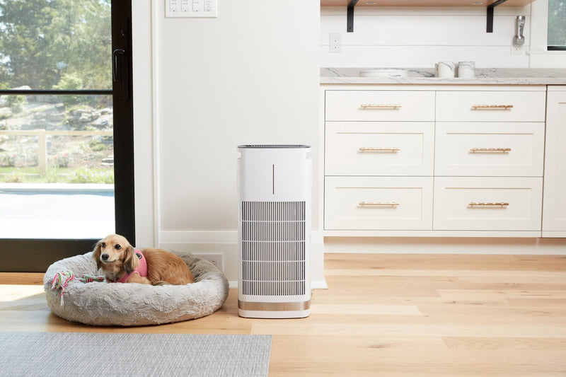 Cuisinart PuRXium Freestanding Air Purifier - CAP-1000C