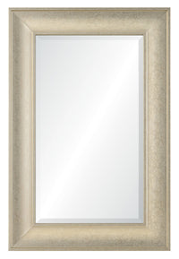 Luxe Champagne Mirror - 24